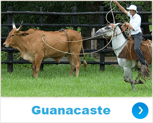 guanacaste tours costa rica