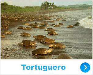 tortuguero costa-rica